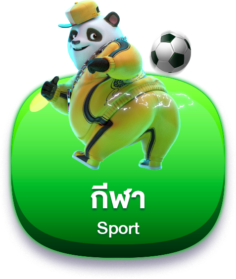 imgsport-image